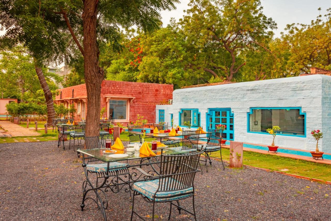 Hotel Tree Of Life Bhadrajun House, Jodhpur Jodhpur  Esterno foto